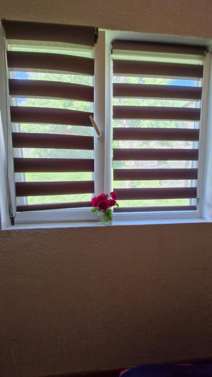Mestialux Guesthouse Exterior photo